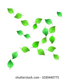 Cute  Pattern with Leaves for Greeting Card or Poster. Vector Background for Spring or Summer Design.

