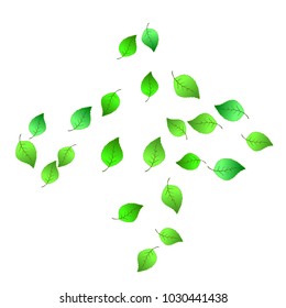 Cute  Pattern with Leaves for Greeting Card or Poster. Vector Background for Spring or Summer Design.
