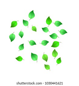 Cute  Pattern with Leaves for Greeting Card or Poster. Vector Background for Spring or Summer Design.
