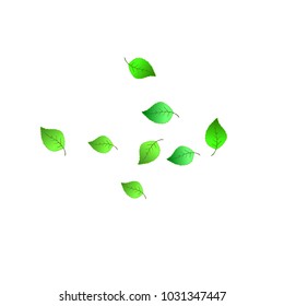 Cute  Pattern with Leaves for Greeting Card or Poster. Vector Background for Spring or Summer Design.
