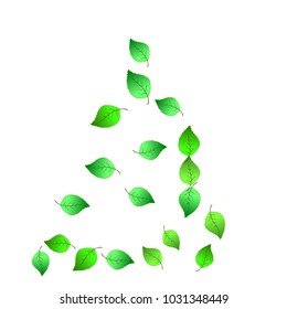 Cute  Pattern with Leaves for Greeting Card or Poster. Vector Background for Spring or Summer Design.
