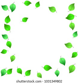 Cute  Pattern with Leaves for Greeting Card or Poster. Vector Background for Spring or Summer Design.

