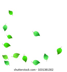 Cute  Pattern with Leaves for Greeting Card or Poster. Vector Background for Spring or Summer Design.
