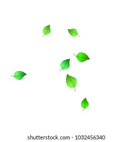 Cute  Pattern with Leaves for Greeting Card or Poster. Vector Background for Spring or Summer Design.

