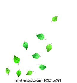Cute  Pattern with Leaves for Greeting Card or Poster. Vector Background for Spring or Summer Design.
