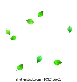 Cute  Pattern with Leaves for Greeting Card or Poster. Vector Background for Spring or Summer Design.

