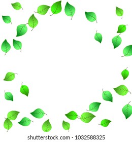 Cute  Pattern with Leaves for Greeting Card or Poster. Vector Background for Spring or Summer Design.
