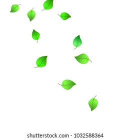 Cute  Pattern with Leaves for Greeting Card or Poster. Vector Background for Spring or Summer Design.
