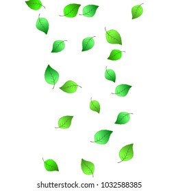 Cute  Pattern with Leaves for Greeting Card or Poster. Vector Background for Spring or Summer Design.
