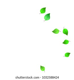 Cute  Pattern with Leaves for Greeting Card or Poster. Vector Background for Spring or Summer Design.

