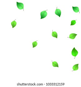 Cute  Pattern with Leaves for Greeting Card or Poster. Vector Background for Spring or Summer Design.
