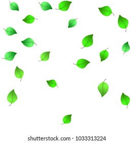 Cute  Pattern with Leaves for Greeting Card or Poster. Vector Background for Spring or Summer Design.
