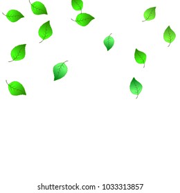 Cute  Pattern with Leaves for Greeting Card or Poster. Vector Background for Spring or Summer Design.
