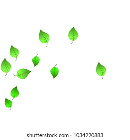 Cute  Pattern with Leaves for Greeting Card or Poster. Vector Background for Spring or Summer Design.
