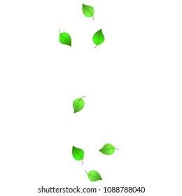 Cute  Pattern with Leaves for Greeting Card or Poster. Vector Background for Spring or Summer Design.
