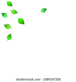 Cute  Pattern with Leaves for Greeting Card or Poster. Vector Background for Spring or Summer Design.
