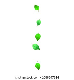 Cute  Pattern with Leaves for Greeting Card or Poster. Vector Background for Spring or Summer Design.
