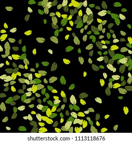 Cute  Pattern with Leaves for Greeting Card or Poster. Vector Background for Spring or Summer Design.
