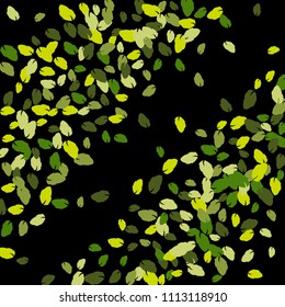 Cute  Pattern with Leaves for Greeting Card or Poster. Vector Background for Spring or Summer Design.
