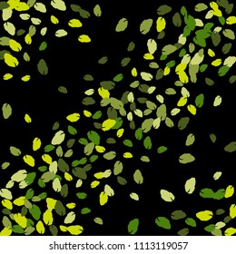 Cute  Pattern with Leaves for Greeting Card or Poster. Vector Background for Spring or Summer Design.
