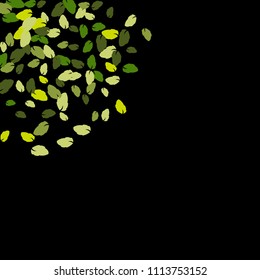Cute  Pattern with Leaves for Greeting Card or Poster. Vector Background for Spring or Summer Design.
