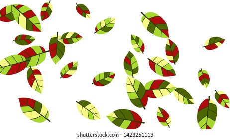 Cute  Pattern with Leaves for Greeting Card or Poster. Vector Background for Spring or Summer Design.
