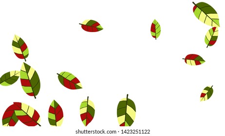 Cute  Pattern with Leaves for Greeting Card or Poster. Vector Background for Spring or Summer Design.
