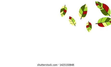Cute  Pattern with Leaves for Greeting Card or Poster. Vector Background for Spring or Summer Design.
