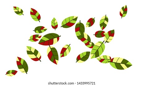 Cute  Pattern with Leaves for Greeting Card or Poster. Vector Background for Spring or Summer Design.

