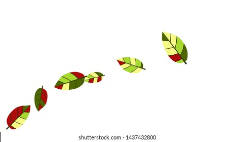 Cute  Pattern with Leaves for Greeting Card or Poster. Vector Background for Spring or Summer Design.
