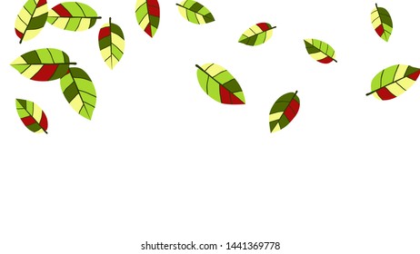 Cute  Pattern with Leaves for Greeting Card or Poster. Vector Background for Spring or Summer Design.
