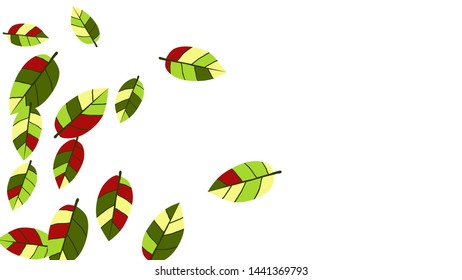 Cute  Pattern with Leaves for Greeting Card or Poster. Vector Background for Spring or Summer Design.
