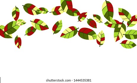 Cute  Pattern with Leaves for Greeting Card or Poster. Vector Background for Spring or Summer Design.
