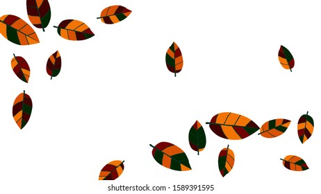 Cute  Pattern with Leaves for Greeting Card or Poster. Vector Background for Spring or Summer Design.
