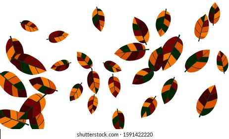 Cute  Pattern with Leaves for Greeting Card or Poster. Vector Background for Spring or Summer Design.
