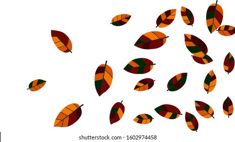 Cute  Pattern with Leaves for Greeting Card or Poster. Vector Background for Spring or Summer Design.
