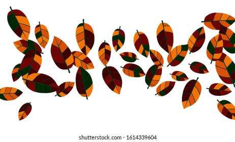 Cute  Pattern with Leaves for Greeting Card or Poster. Vector Background for Spring or Summer Design.
