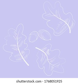 Cute pattern of oak leaves with acorns