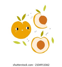 Cute peach vector cartoon illustration. Half of a cut fruit with a stone. Kawaii children's card