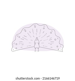 ilustración vectorial del boceto de ave pavo real 