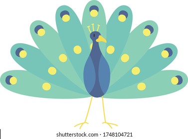 Caricatura de pavo real, pavo real de la ilustración del vector sobre un fondo blanco. Dibujo para niños