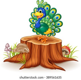 Cute Peacock On Tree Stump