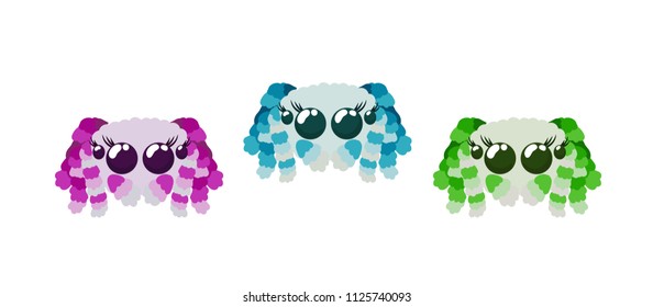 Cute peacock spiders set in red pink, green and blue colors isolated on white vector illustration