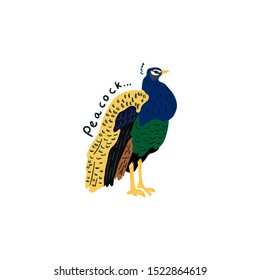 cute peacock vector illustratiom. Creative animal texture for fabric, wrapping, textile, wallpaper, apparel. 