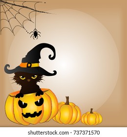 Cute Peek a Boo black ghost cat in Halloween pumpkin lantern and spider and spider web, Happy Halloween concept, vector and illustration