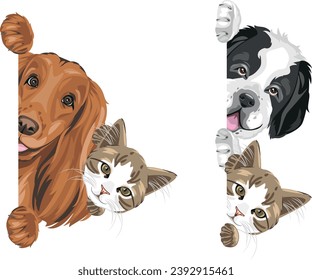 Cute peeking Saint Bernard dog, Cocker Spaniel and cat. Vector