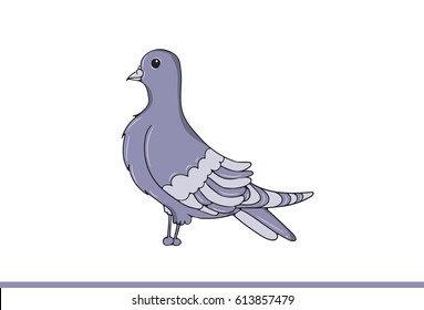 Cute Pegion. Vector Illustration . Isolated on white background.