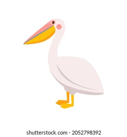 Cute pelican bird isolated on white background. Vector illustration in cartoon style