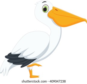 cute pelican cartoon