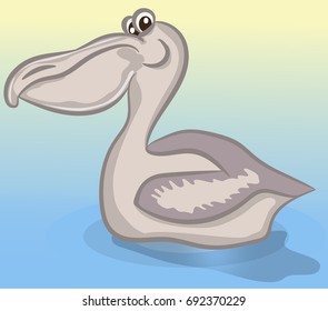 Cute pelican cartoon floating on water. Vector illustration.